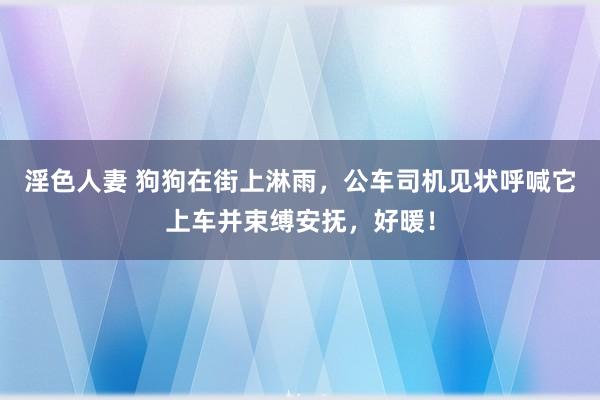 淫色人妻 狗狗在街上淋雨，公车司机见状呼喊它上车并束缚安抚，好暖！