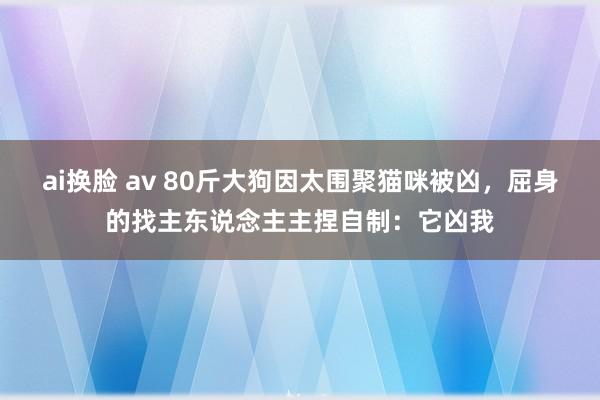 ai换脸 av 80斤大狗因太围聚猫咪被凶，屈身的找主东说念主主捏自制：它凶我