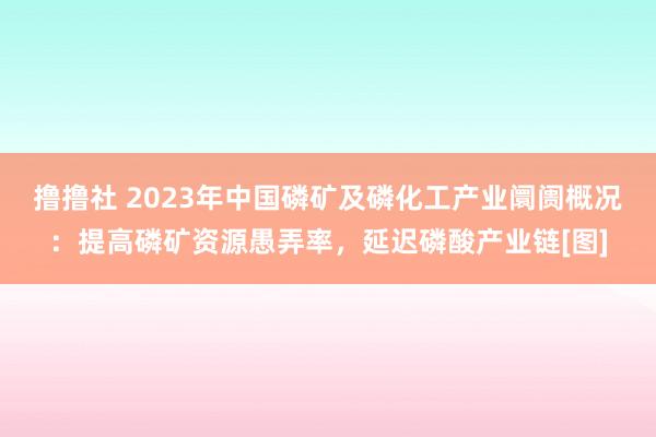 撸撸社 2023年中国磷矿及磷化工产业阛阓概况：提高磷矿资源愚弄率，延迟磷酸产业链[图]