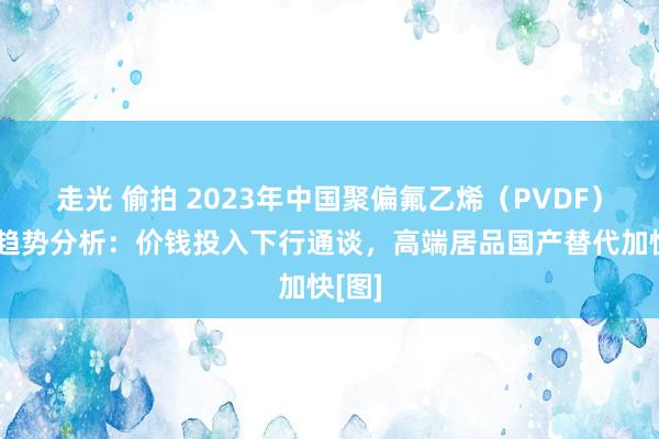 走光 偷拍 2023年中国聚偏氟乙烯（PVDF）行业趋势分析：价钱投入下行通谈，高端居品国产替代加快[图]