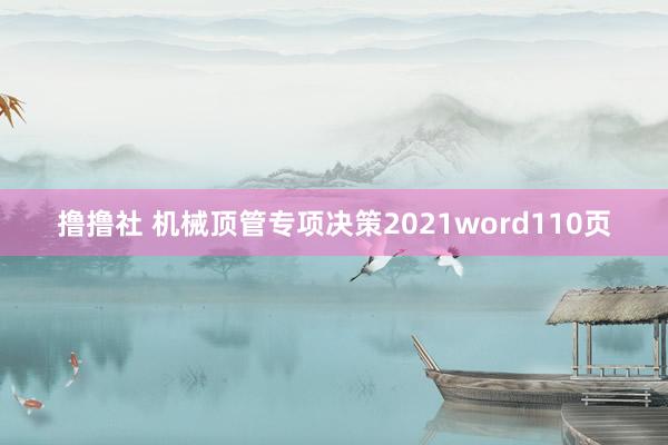 撸撸社 机械顶管专项决策2021word110页