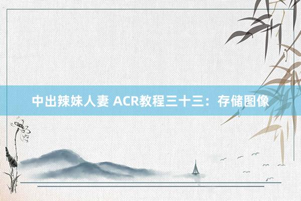 中出辣妹人妻 ACR教程三十三：存储图像