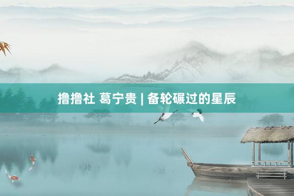 撸撸社 葛宁贵 | 备轮碾过的星辰