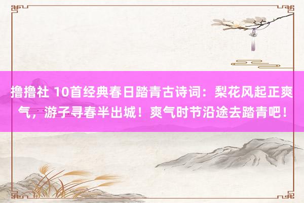 撸撸社 10首经典春日踏青古诗词：梨花风起正爽气，游子寻春半出城！爽气时节沿途去踏青吧！