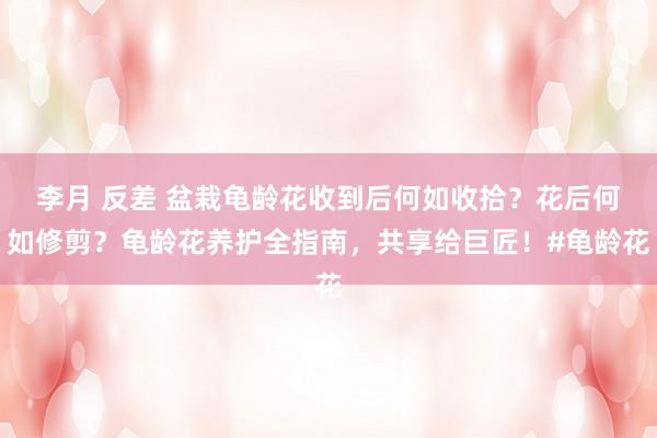 李月 反差 盆栽龟龄花收到后何如收拾？花后何如修剪？龟龄花养护全指南，共享给巨匠！#龟龄花