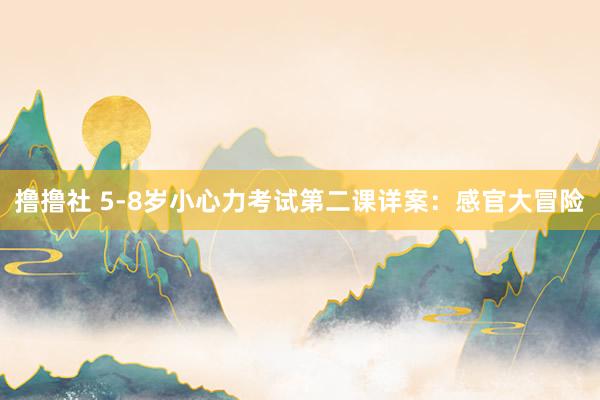 撸撸社 5-8岁小心力考试第二课详案：感官大冒险