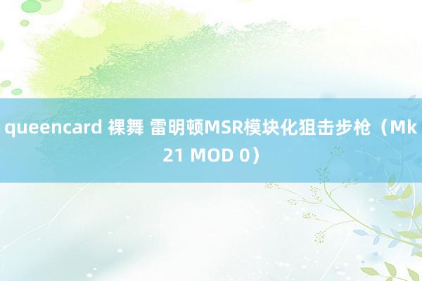 queencard 裸舞 雷明顿MSR模块化狙击步枪（Mk21 MOD 0）